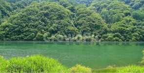 화천산소길, 북한강, 강변, 길, 강원도, 사진,이미지,일러스트,캘리그라피 - 가는세월작가 크라우드픽 - 저작권 걱정 없는 상업용 이미지