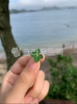 네잎클로버, 클로버, 행운, clover, fourleafclover, 사진,이미지,일러스트,캘리그라피 - yegee0125작가 크라우드픽 - 저작권 걱정 없는... 