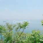 봄, spring, 계절, season, 바다, 사진,이미지,일러스트,캘리그라피 - mysunset1210작가 크라우드픽 - 저작권 걱정 없는 상업용 이미지