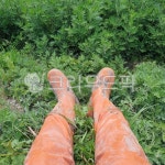 물장화, 농촌, 장화, 쉼, 다리, 사진,이미지,일러스트,캘리그라피 - dhfflvmdk작가 크라우드픽 - 저작권 걱정 없는 상업용 이미지