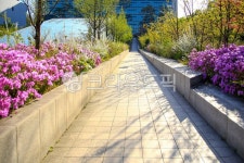 고려대학교, 서울, 캠퍼스, 대학교, 석재, 사진,이미지,일러스트,캘리그라피 - imlover작가 크라우드픽 - 저작권 걱정 없는 상업용 이미지