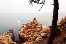 바위, 소나무, 동해, 대왕암솔바람길, 할미바위, 사진,이미지,일러스트,캘리그라피 - 송역작가 크라우드픽 - 저작권 걱정 없는 상업용 이미지