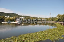 자연, 공원, 옥외, 저수지, 호수, 사진,이미지,일러스트,캘리그라피 - kai5작가 크라우드픽 - 저작권 걱정 없는 상업용 이미지