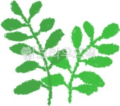 크레파스그림, 크레용그림, 꽃그림, 풀그림, 식물, 사진,이미지,일러스트,캘리그라피 - pilot30cc작가 크라우드픽 - 저작권 걱정 없는 상업용... 