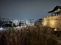 수원행궁, 야경, 공원, 혼자, 산책, 사진,이미지,일러스트,캘리그라피 - Gaeko82작가 크라우드픽 - 저작권 걱정 없는 상업용 이미지