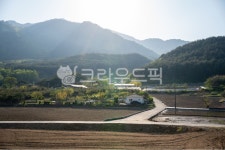 nature, 자연, 도로, 시골, 빛, 사진,이미지,일러스트,캘리그라피 - bitjaruu작가 크라우드픽 - 저작권 걱정 없는 상업용 이미지