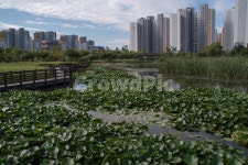 온수역, 수목원, 호수, 정원, lake, 사진,이미지,일러스트,캘리그라피 - cryoma작가 크라우드픽 - 저작권 걱정 없는 상업용 이미지