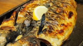 생선구이, 레몬, 구이정식, 생선정식, 고등어정식, 사진,이미지,일러스트,캘리그라피 - 리미트엑스작가 크라우드픽 - 저작권 걱정 없는 상업용 이미지