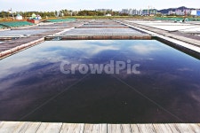 염전, 소금, 시흥갯골생태공원, 해수, 농업, 사진,이미지,일러스트,캘리그라피 - 함께사는세상작가 크라우드픽 - 저작권 걱정 없는 상업용 이미지