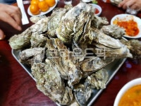 굴, 음식, food, 석화, 석화찜, 사진,이미지,일러스트,캘리그라피 - taberudake작가 크라우드픽 - 저작권 걱정 없는 상업용 이미지