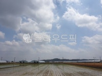 시골, 풍경, 농로, 가을느낌, 한국자연풍경, 사진,이미지,일러스트,캘리그라피 - 별똥마마작가 크라우드픽 - 저작권 걱정 없는 상업용 이미지