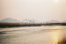 순천만습지, 갈대밭, 정자, 노을, 필름카메라, 사진,이미지,일러스트,캘리그라피 - Jemnoo작가 크라우드픽 - 저작권 걱정 없는 상업용 이미지