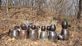 장독대, 자연, 항아리, 산, 나무, 사진,이미지,일러스트,캘리그라피 - 잘살아보자작가 크라우드픽 - 저작권 걱정 없는 상업용 이미지