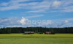 산, 마을, 산촌, 풍경, 시골, 사진,이미지,일러스트,캘리그라피 - 숲속향기작가 크라우드픽 - 저작권 걱정 없는 상업용 이미지