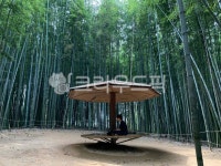 단양, 죽녹원, 담양죽녹원, 초록, korea, 사진,이미지,일러스트,캘리그라피 - movingjh작가 크라우드픽 - 저작권 걱정 없는 상업용 이미지