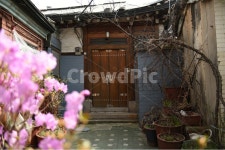 나무대문, 봄, 옛날주택, 대문, 기와, 사진,이미지,일러스트,캘리그라피 - 사진대감작가 크라우드픽 - 저작권 걱정 없는 상업용 이미지