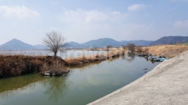 낙동강, 강, 가을, 산, 길가, 사진,이미지,일러스트,캘리그라피 - Nektjs26작가 크라우드픽 - 저작권 걱정 없는 상업용 이미지