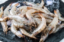 shrimp, 새우, food, 음식, sealife, 사진,이미지,일러스트,캘리그라피 - Nyun작가 크라우드픽 - 저작권 걱정 없는 상업용 이미지