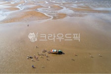 선도리, 갯벌체험마을, 갯벌체험장, 어촌, 어촌체험마을, 사진,이미지,일러스트,캘리그라피 - cstrike작가 크라우드픽 - 저작권 걱정 없는... 