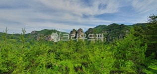 자연, 나무, 숲, 절벽, 바위, 사진,이미지,일러스트,캘리그라피 - 뚜벅뚜벅작가 크라우드픽 - 저작권 걱정 없는 상업용 이미지