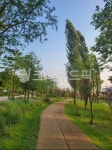 sidewalk, 길, path, outdoors, nature, 사진,이미지,일러스트,캘리그라피 - s0235작가 크라우드픽 - 저작권 걱정 없는 상업용 이미지