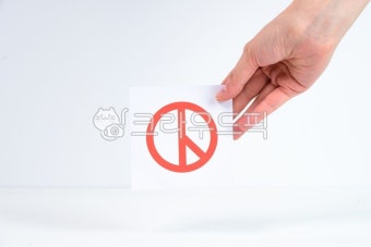 투표, 선거, 선택, 손, 민주주의, 사진,이미지,일러스트,캘리그라피 - 히어로포토작가 크라우드픽 - 저작권 걱정 없는 상업용 이미지