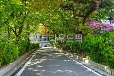 서울, 안암동, 고려대학교, 고려대, 고대, 사진,이미지,일러스트,캘리그라피 - imlover작가 크라우드픽 - 저작권 걱정 없는 상업용 이미지