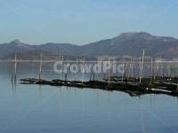 매생이작업, 고흥, 고흥신평리, 고흥금산, 고흥월포마을, 사진,이미지,일러스트,캘리그라피 - 풍경채작가 크라우드픽 - 저작권 걱정 없는 상업용... 