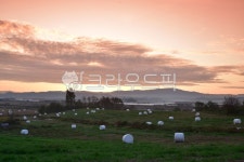 햇빛, 자연, 옥외, 하늘, 빛, 사진,이미지,일러스트,캘리그라피 - hong0319작가 크라우드픽 - 저작권 걱정 없는 상업용 이미지