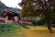 담양, 남면, 식영정, 누정, 정자, 사진,이미지,일러스트,캘리그라피 - 영산공작가 크라우드픽 - 저작권 걱정 없는 상업용 이미지