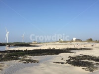 제주도, 바다, 바닷가, 백사장, 풍차, 사진,이미지,일러스트,캘리그라피 - piecepiece작가 크라우드픽 - 저작권 걱정 없는 상업용 이미지
