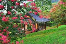 garden, 정원, arbour, 정자, human, 사진,이미지,일러스트,캘리그라피 - 영산공작가 크라우드픽 - 저작권 걱정 없는 상업용 이미지