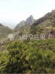 영암, 월출산, 영암월출산, 천황야영장, 산성대, 사진,이미지,일러스트,캘리그라피 - Pastel Light작가 크라우드픽 - 저작권 걱정 없는 상업용... 