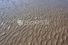 갯벌, 모래, 뻘, 모래톱, 해안, 사진,이미지,일러스트,캘리그라피 - 아푸아아작가 크라우드픽 - 저작권 걱정 없는 상업용 이미지