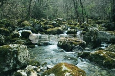 계곡, 여름, 치악산, 이끼계곡, 원주, 사진,이미지,일러스트,캘리그라피 - 나그네길작가 크라우드픽 - 저작권 걱정 없는 상업용 이미지