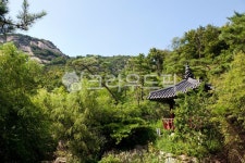 수성동계곡, 인왕산, 숲, 나무, 종로구, 사진,이미지,일러스트,캘리그라피 - 메추리알작가 크라우드픽 - 저작권 걱정 없는 상업용 이미지