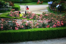 순천만국가정원1호, 테마공원, 자연생태공원, 자연, 옥외, 사진,이미지,일러스트,캘리그라피 - pandora4077작가 크라우드픽 - 저작권 걱정... 