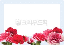 카네이션, 스승의날, 어버이날, 꽃, 하트, 사진,이미지,일러스트,캘리그라피 - 메워니작가 크라우드픽 - 저작권 걱정 없는 상업용 이미지