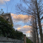 카페, 노을, cafe, sunset, eveningglow, 사진,이미지,일러스트,캘리그라피 - the K작가 크라우드픽 - 저작권 걱정 없는 상업용 이미지