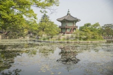전통, 고궁, 경복궁, 한국, 기와, 사진,이미지,일러스트,캘리그라피 - Ndakidang12작가 크라우드픽 - 저작권 걱정 없는 상업용 이미지