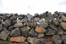 돌담, 제주, rubble, stonewall, 현무암, 사진,이미지,일러스트,캘리그라피 - 하선하작가 크라우드픽 - 저작권 걱정 없는 상업용 이미지