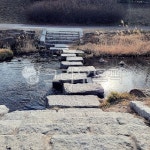 연못, 자연, 물, 보도, 길, 사진,이미지,일러스트,캘리그라피 - 모브쿤작가 크라우드픽 - 저작권 걱정 없는 상업용 이미지