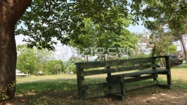 자연, 공원, 정원, 초록, 녹색, 사진,이미지,일러스트,캘리그라피 - 장원작가 크라우드픽 - 저작권 걱정 없는 상업용 이미지