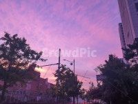 노을, 석양, 보라빛, 하늘, 보라, 사진,이미지,일러스트,캘리그라피 - 초블작가 크라우드픽 - 저작권 걱정 없는 상업용 이미지