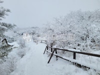 덕유산, 향로봉, 설경, 눈꽃, 폭설, 사진,이미지,일러스트,캘리그라피 - KennyKim작가 크라우드픽 - 저작권 걱정 없는 상업용 이미지