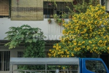 꽃, 차, 트럭, 집, 식물, 사진,이미지,일러스트,캘리그라피 - jinnnny작가 크라우드픽 - 저작권 걱정 없는 상업용 이미지