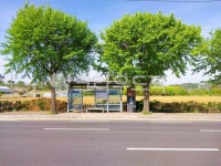 busstop, 버스정류장, outdoors, 옥외, nature, 사진,이미지,일러스트,캘리그라피 - 오작교작가 크라우드픽 - 저작권 걱정 없는 상업용 이미지