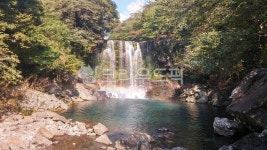 천제연폭포, 폭포, 물, 자연, 옥외, 사진,이미지,일러스트,캘리그라피 - 먹방작가 크라우드픽 - 저작권 걱정 없는 상업용 이미지