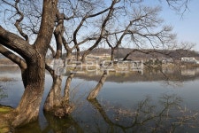 신정호, 신정호국민관광지, 아산, 인공호수, 호수, 사진,이미지,일러스트,캘리그라피 - Deep bLUE작가 크라우드픽 - 저작권 걱정 없는 상업용... 