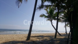 해변, 비치, 야자수, 바다, 하늘, 사진,이미지,일러스트,캘리그라피 - 꿈따라작가 크라우드픽 - 저작권 걱정 없는 상업용 이미지